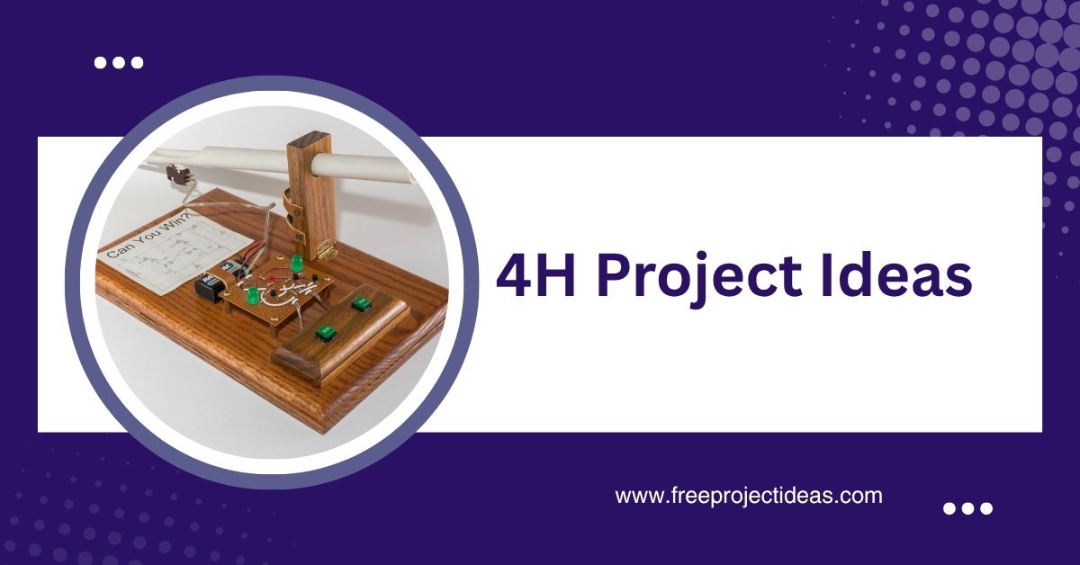 4H Project Ideas