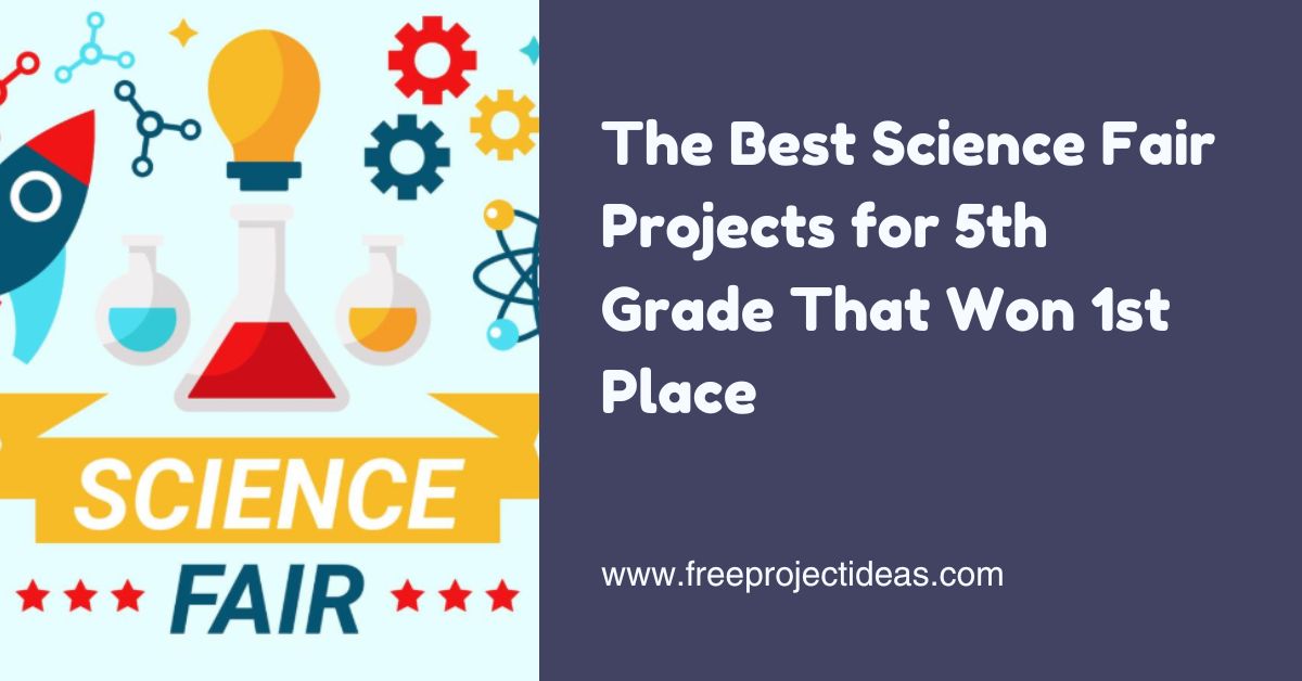 The Best Science Fair Projects for 5th Grade That Won 1st Place