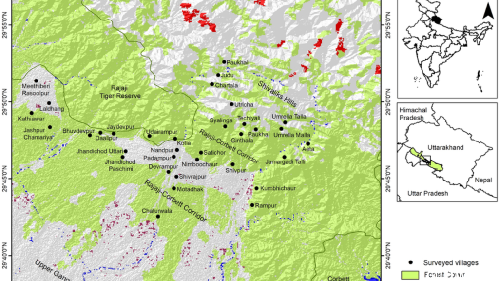 All-Weather Road To Cut Through Rajaji National Park, Commercial Vehicles Won't Be Allowed